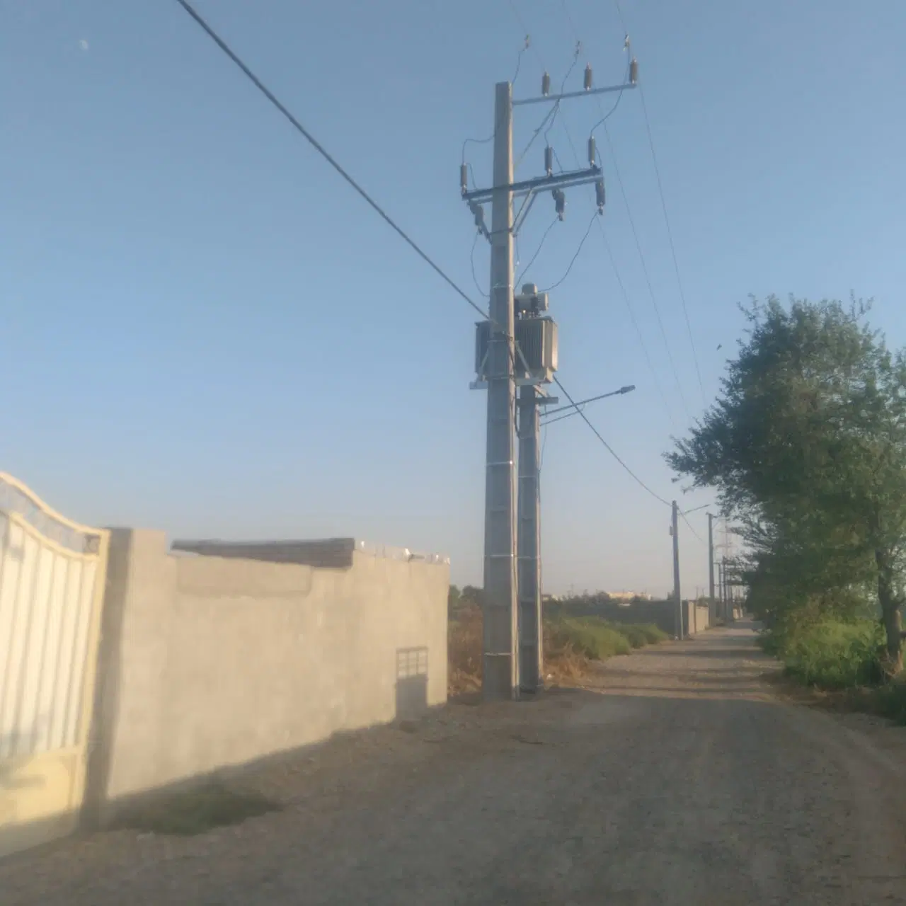 زمین باغی