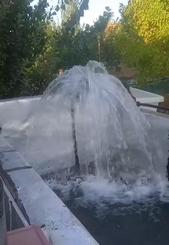 باغات زنجان