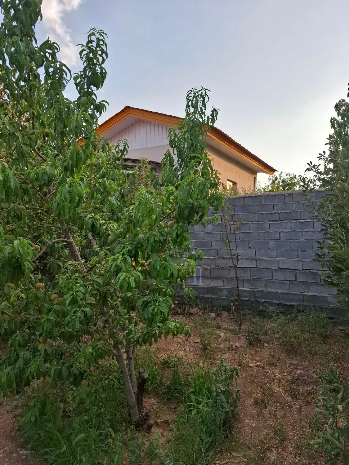 باغ ۵۰۰ متری
