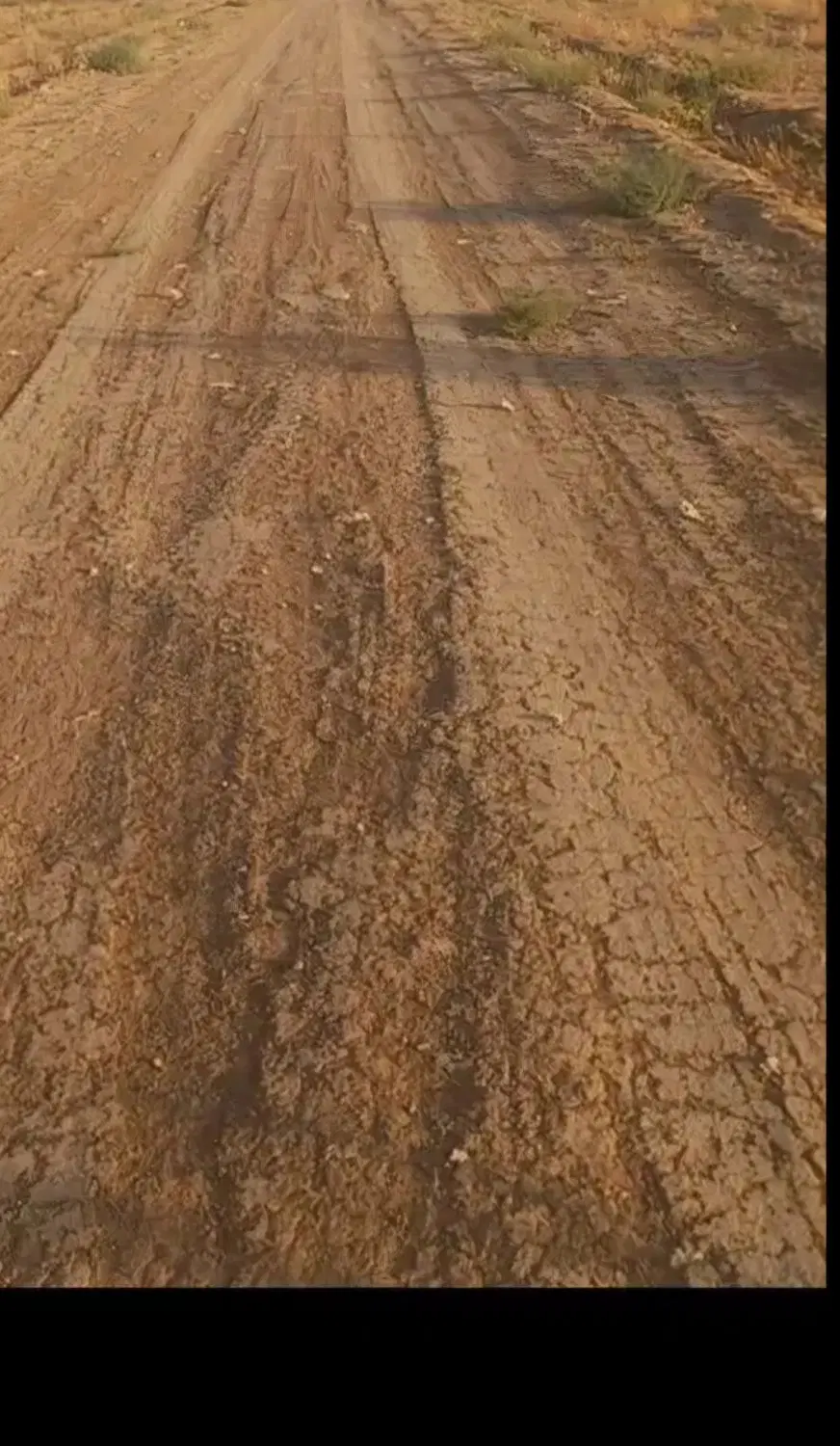اجاره دامداری  شریف اباد