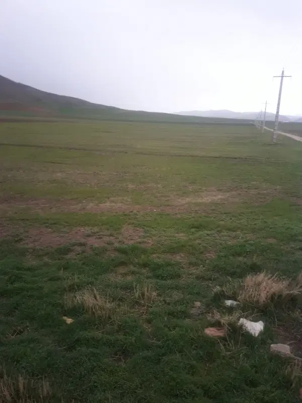 اجاره زمین کشاورزی