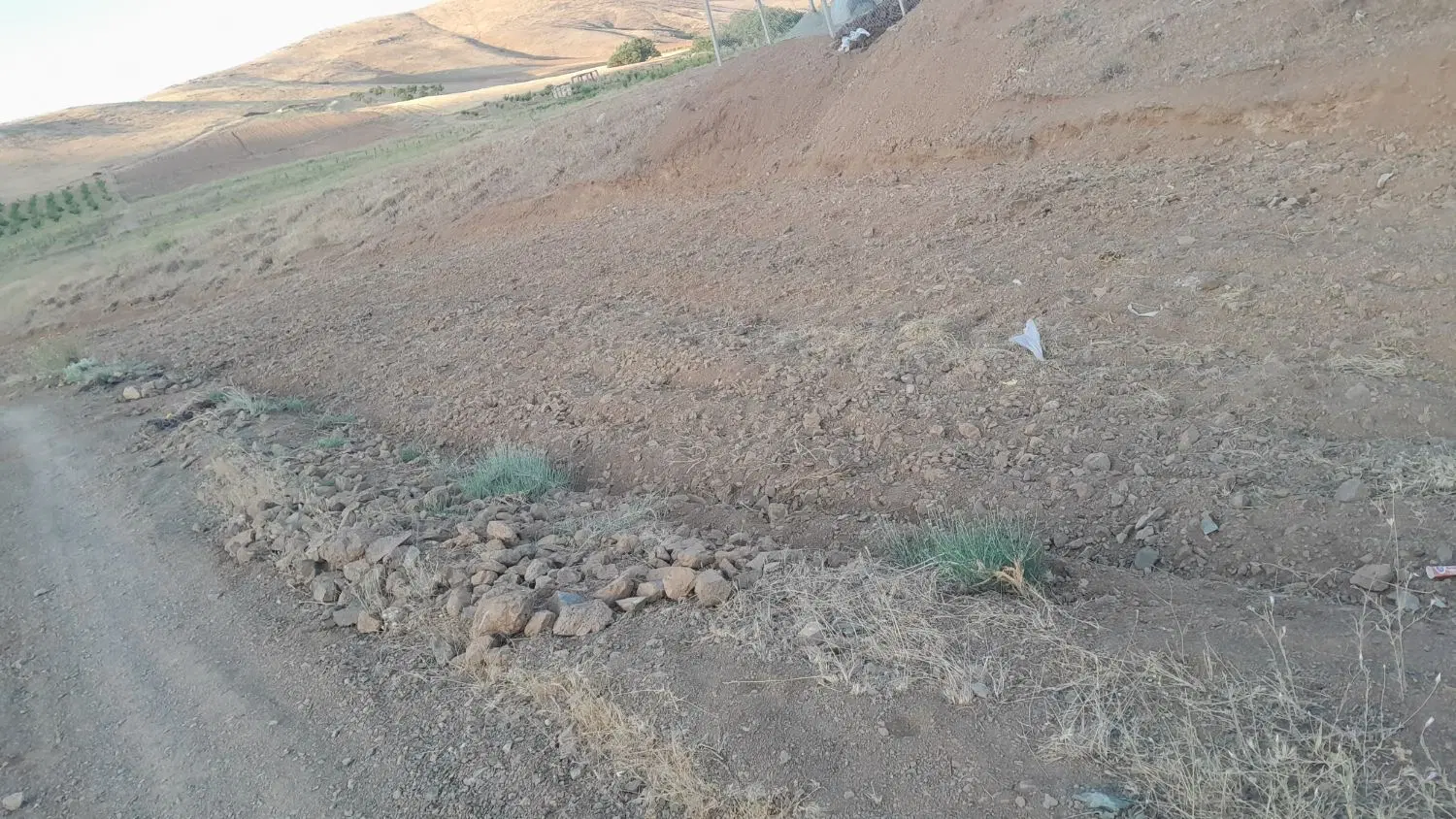 ۱۳۰۰متر زمین کشاورزی روستای قلیان