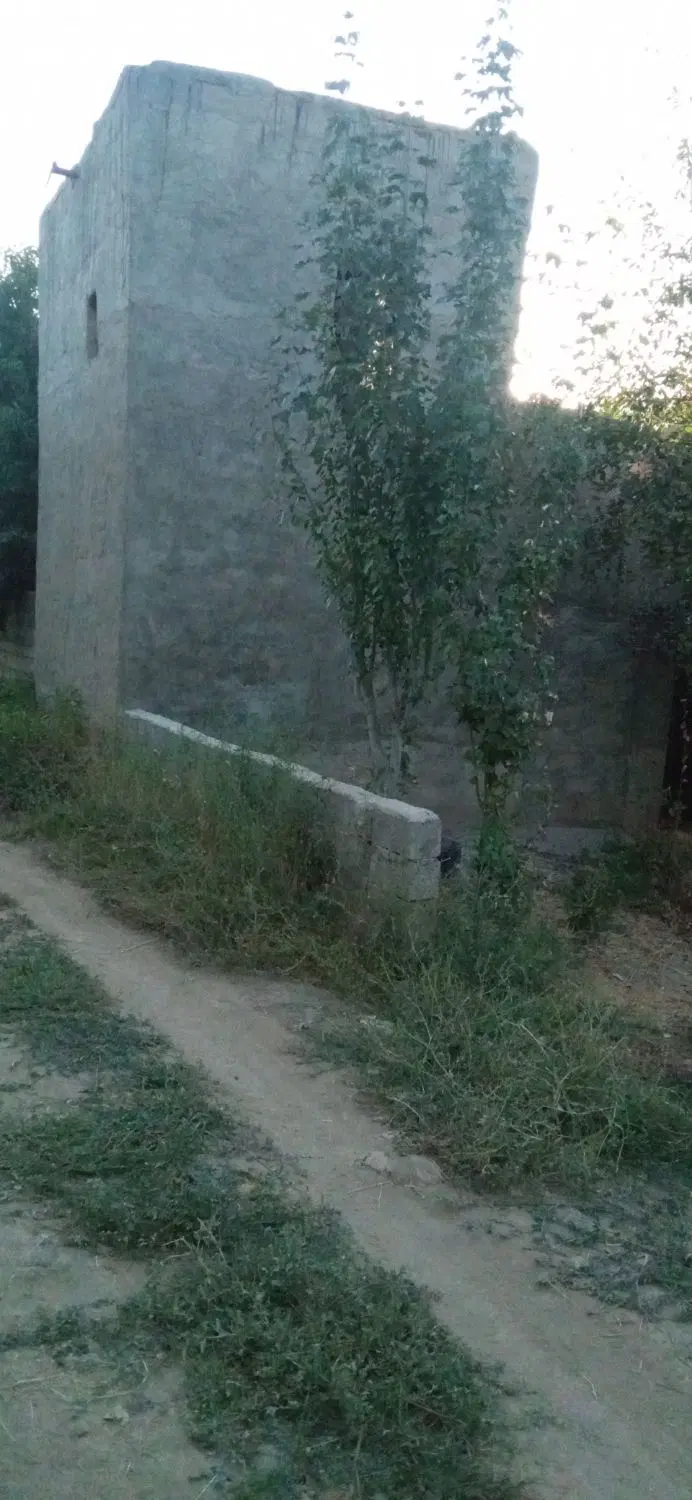 باغ انگوروگردو ....