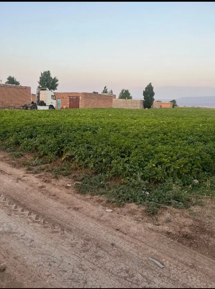 فروش زمین در روستای پیراقوم