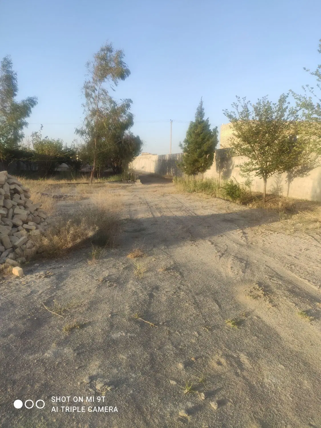 فروش زمین باغی برای سرمایه گذاری