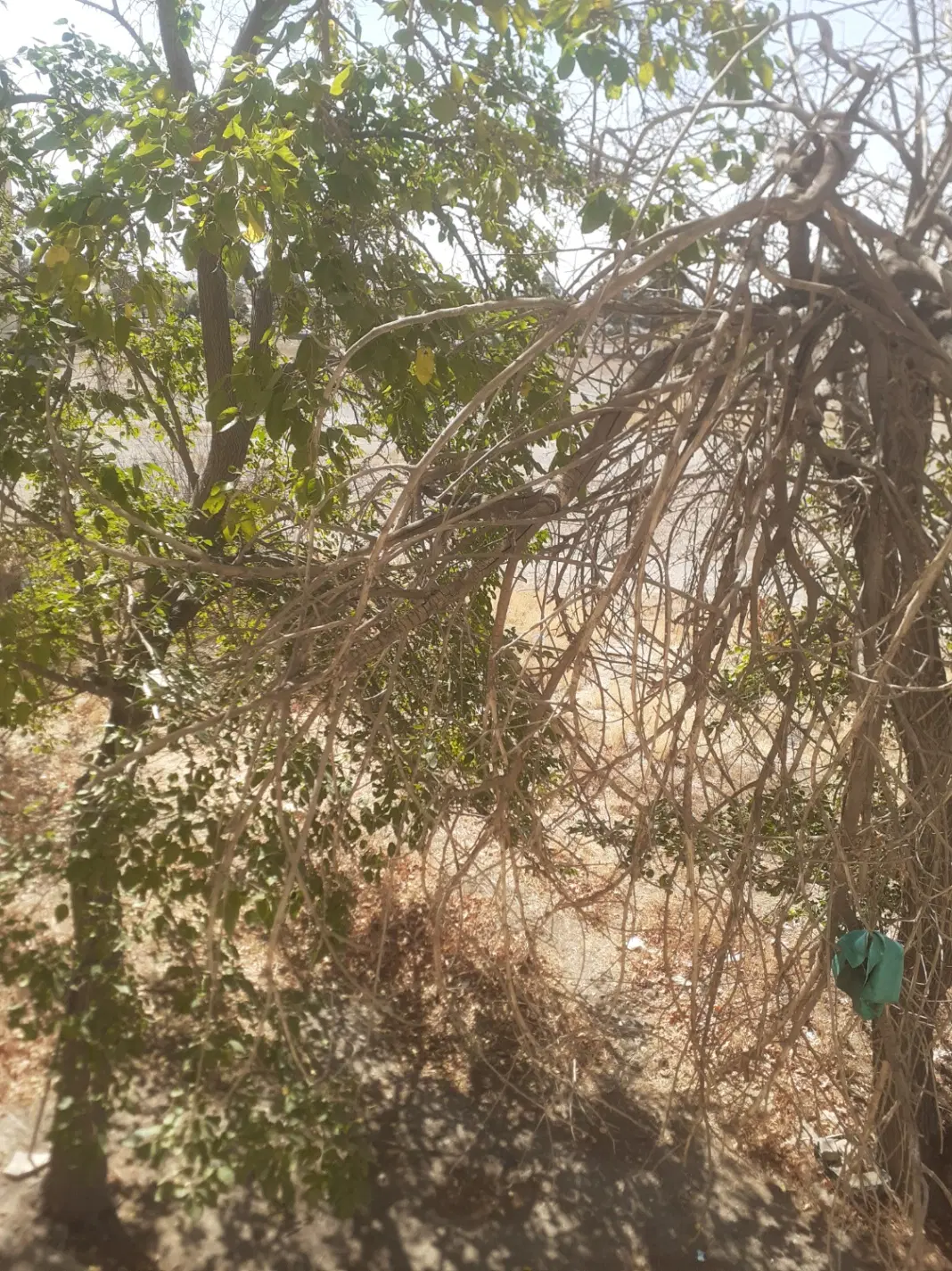 فروش زمین تجاری