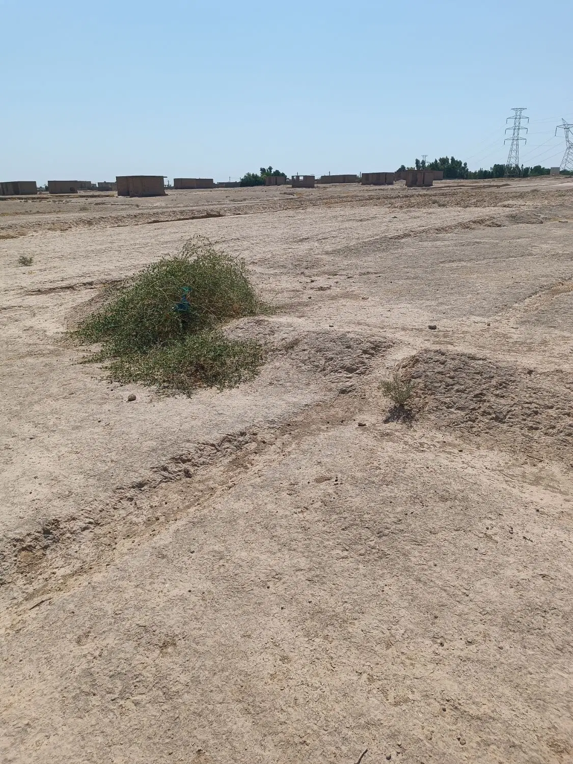 زمین‌اماده‌ساخت