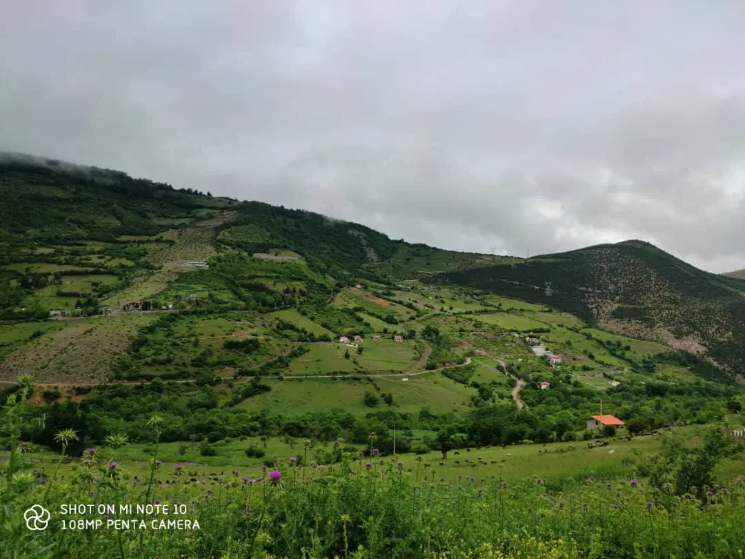 فروش محدود و اقساطی زمین چا_لوس