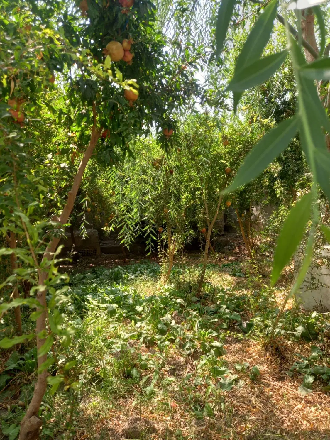 با عرض سلام فروش خانه مسکونی