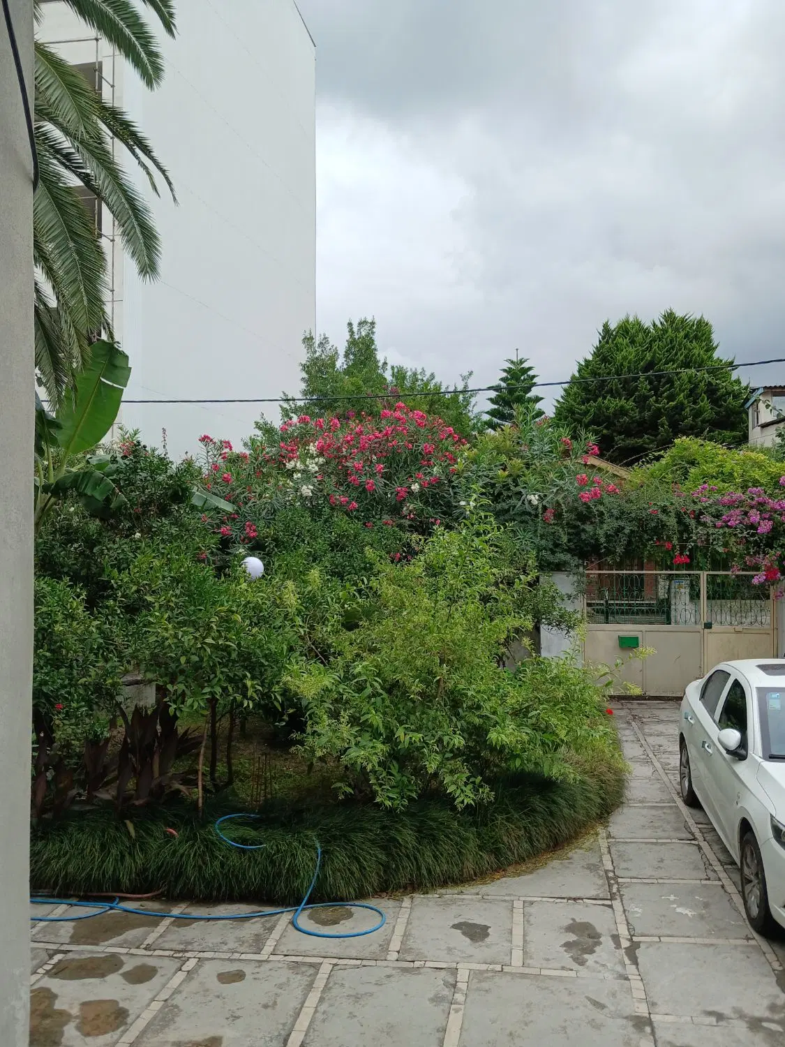 فروش خونه ویلایی در نوشهر بلوار امام رضا
