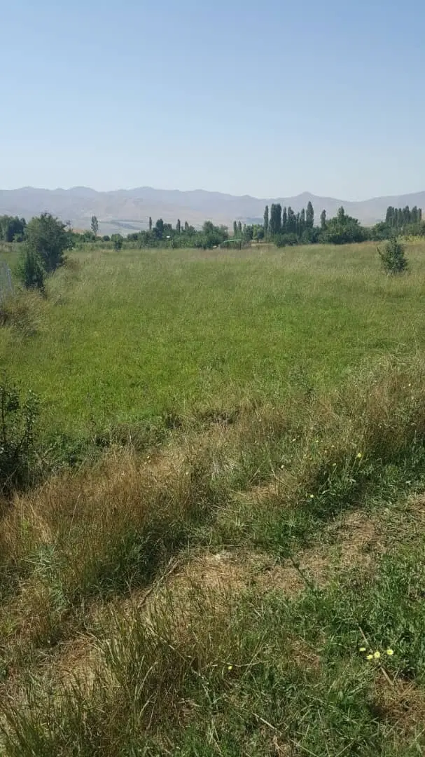 زمین کشاورزی مسطح جزینان.نازرو