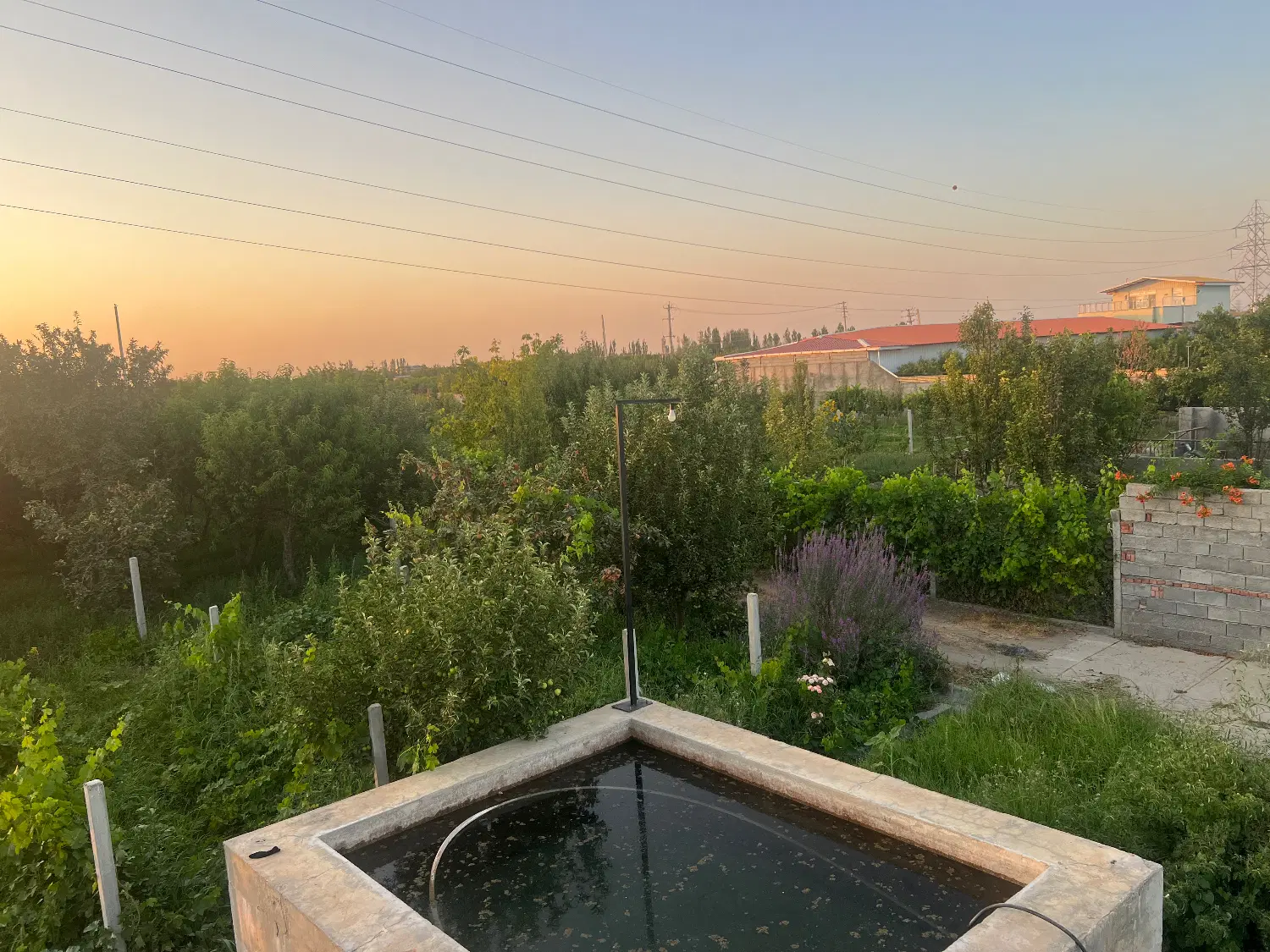 زمین کشاورزی