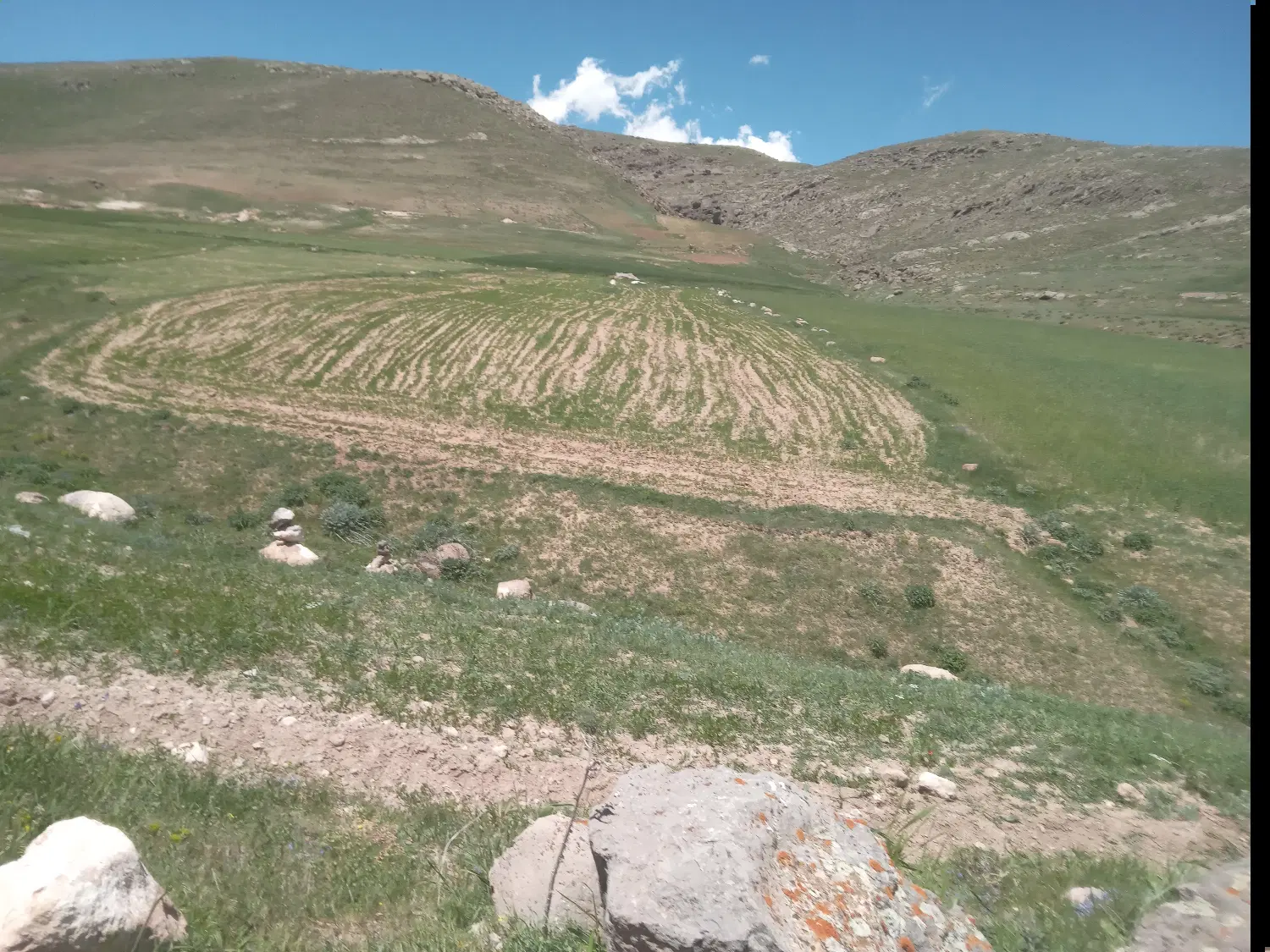 زمین مسکونی