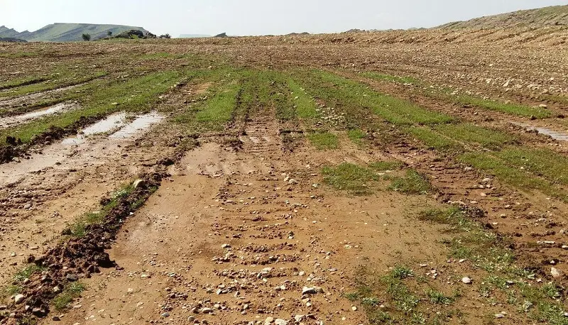 زمین کشاورزی با چاه آب برقی ۴ اینچ