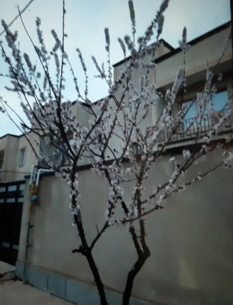 خانه در جورقان