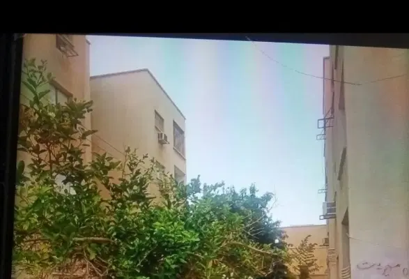 تکخواب صدف