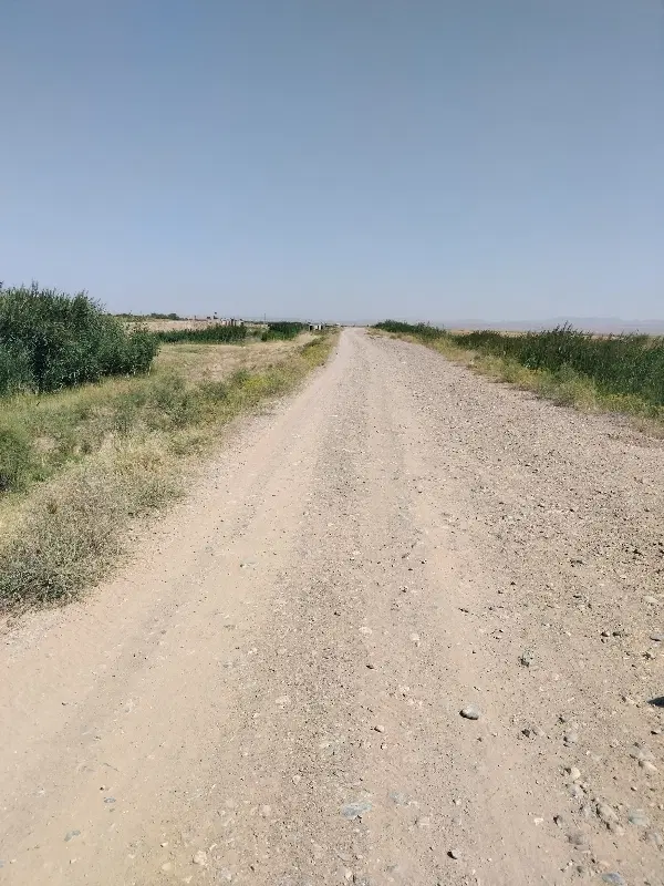 زمین زراعی مخصوص باغ