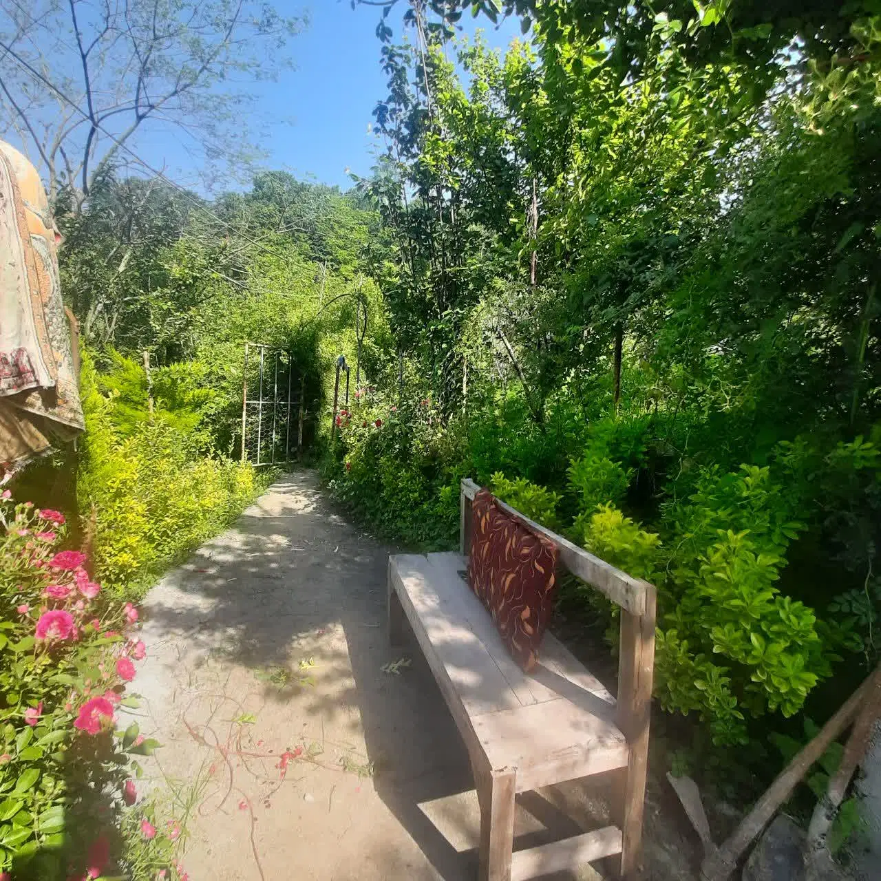 اجاره کلبه جنگلی