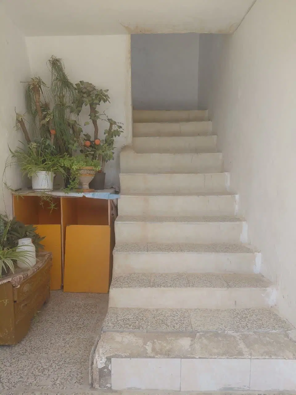 خانه اجاره