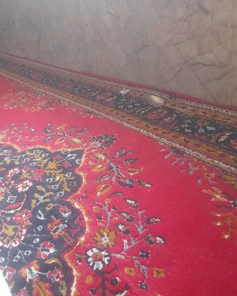 سویت کوچک تا فردا راننده هستم