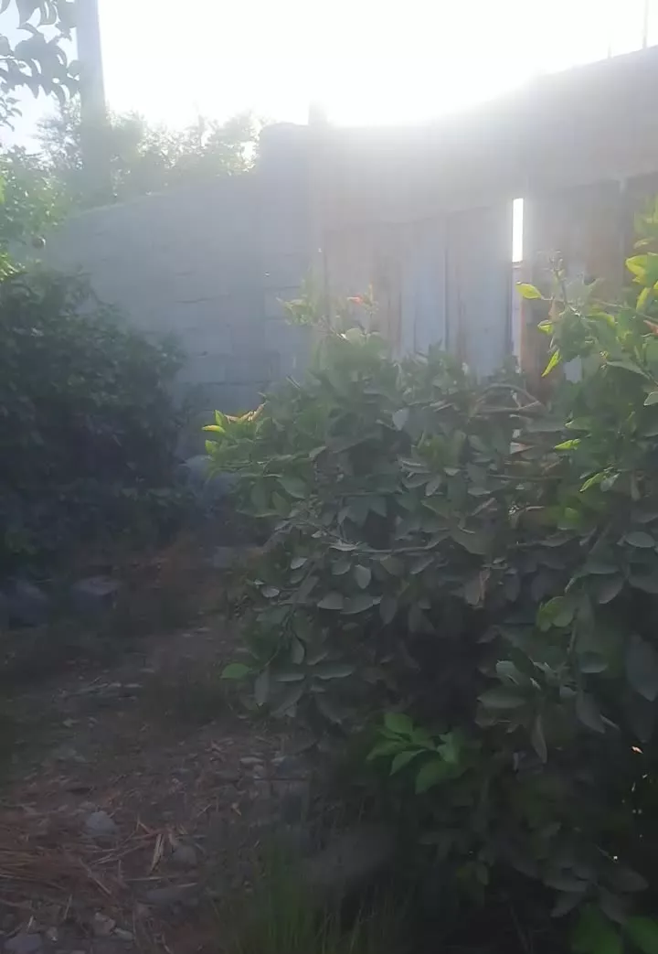 با سلام فروش باغچه
