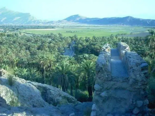 زمین حاجی اباد