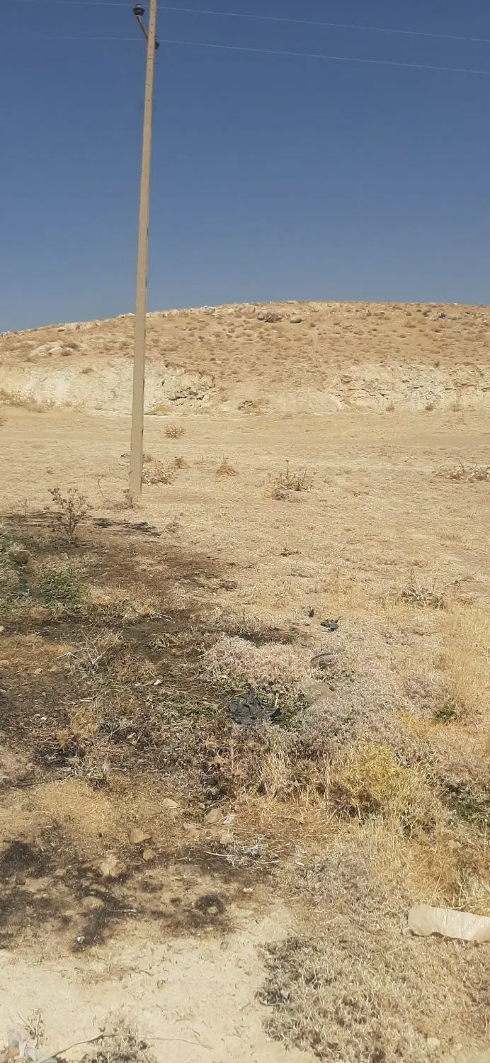 زمین داخل روستای میر اباد بخش دهپیر