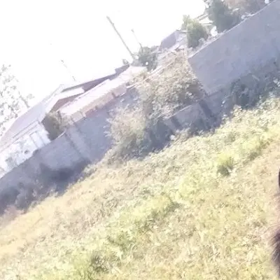 سلام یک زمین براده خشکیبیجار به امین آباد