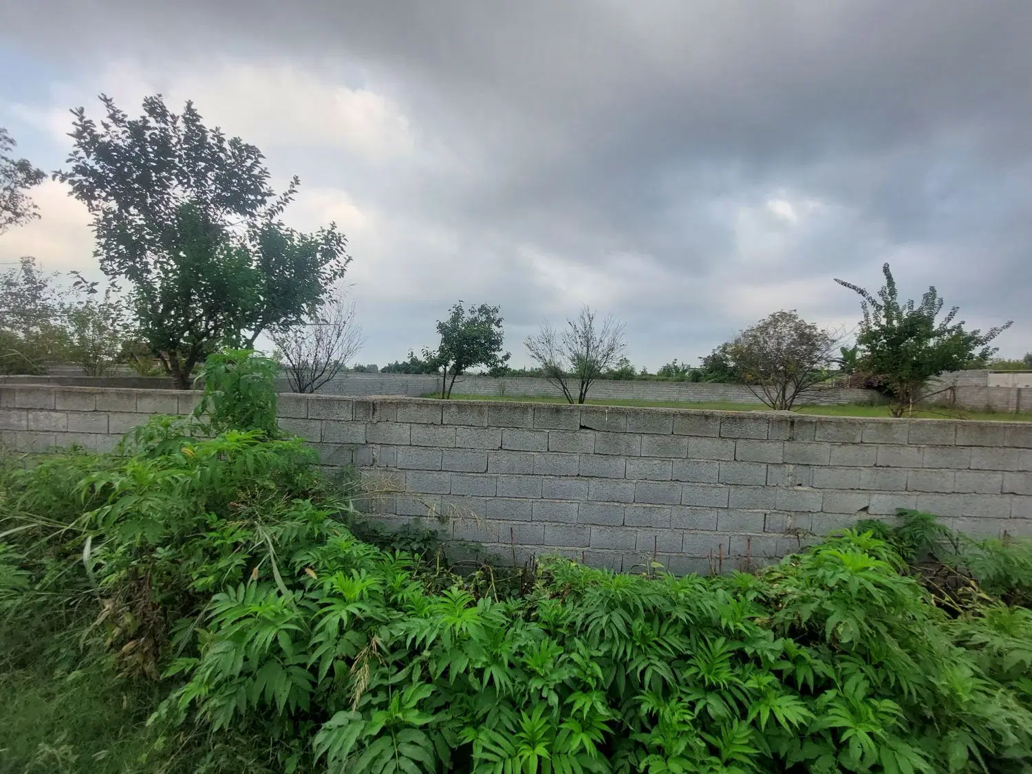 باغ ۲۵۰متری برای کلبه سوئیسی هرمتر سه ونیم میلیون
