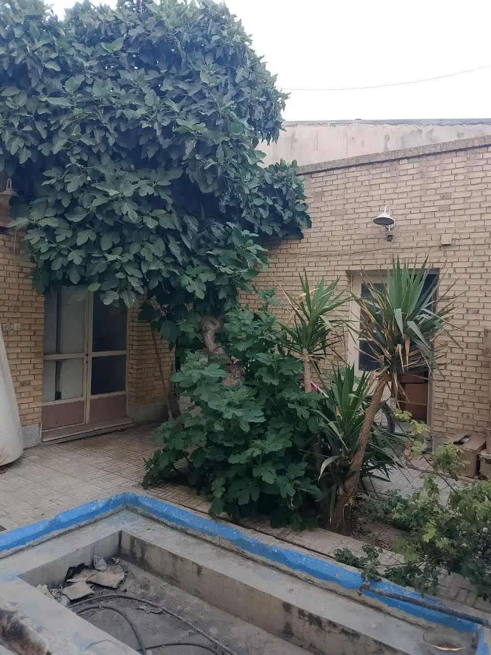 ملک مسکونی