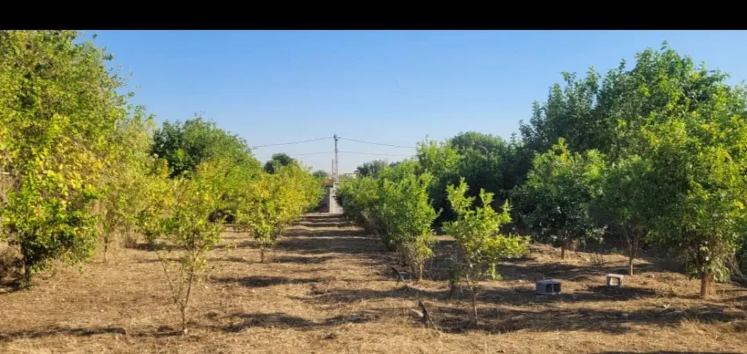 فروش زمین