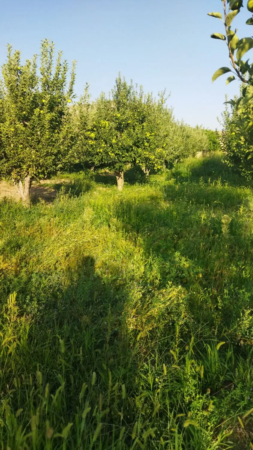 فروش زمین