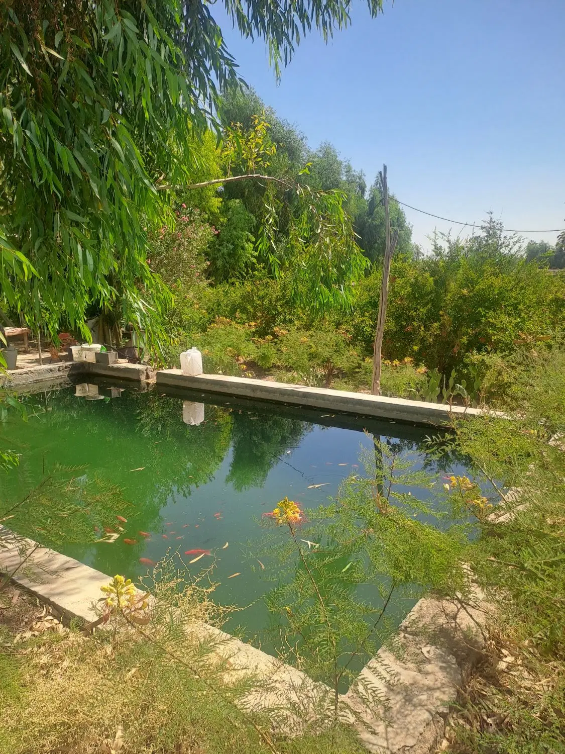 زمین کشاورزی۴۵ کیلومتری جاده قدیم قم کاشان