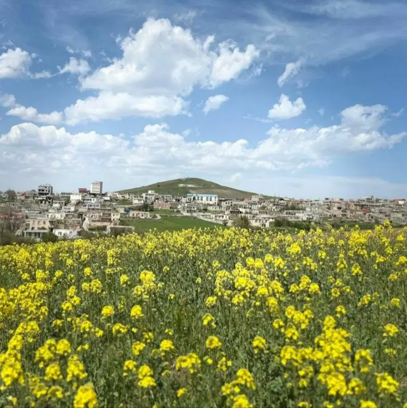ویلایی کله سر