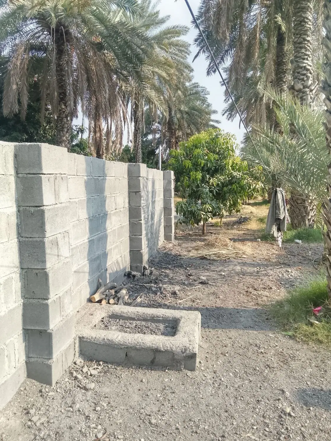 700مترباغ