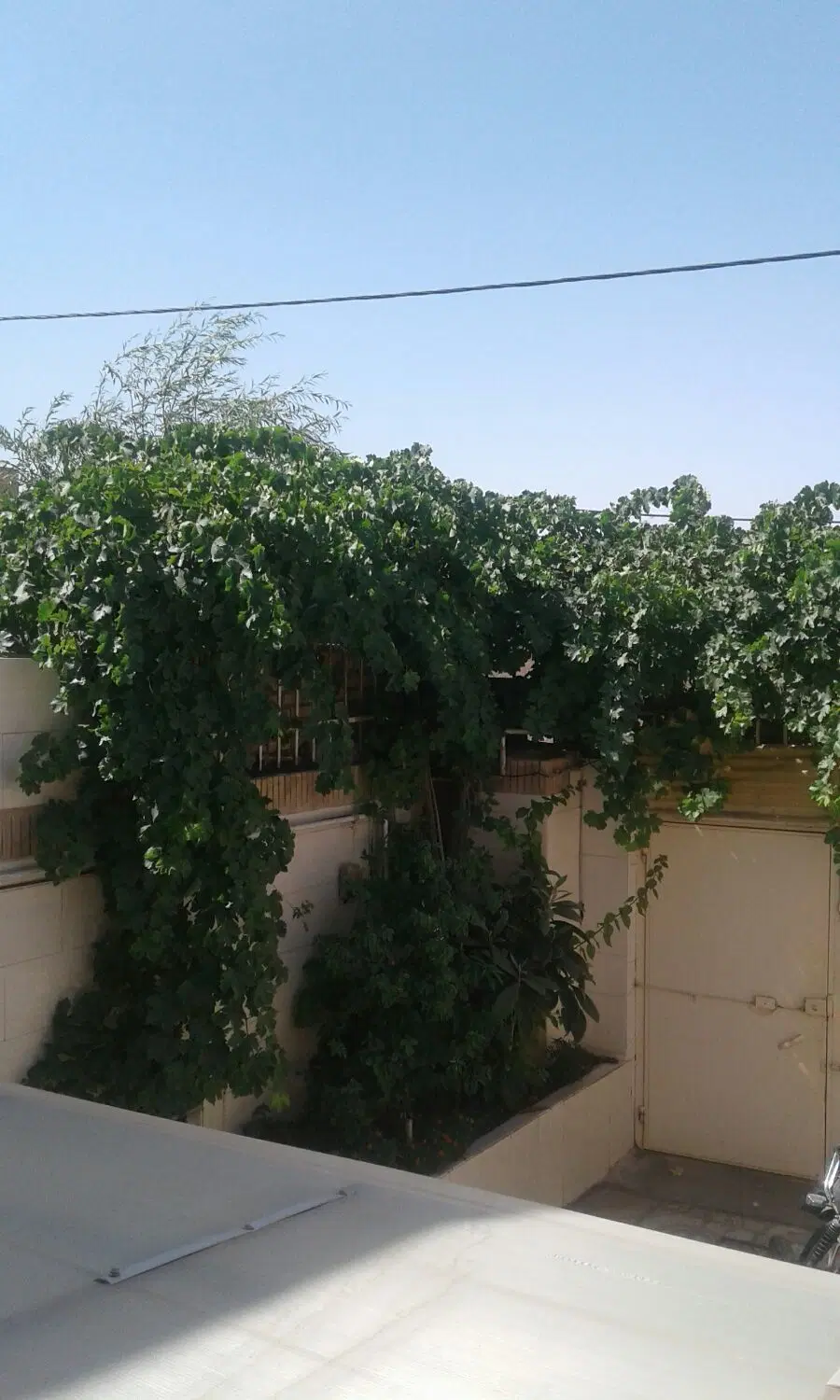 خانه ویلایی در کاشمر