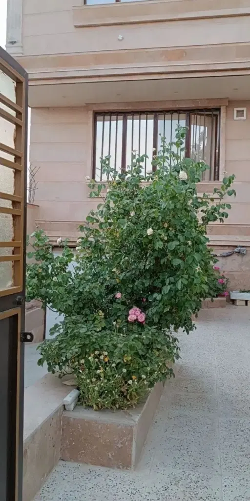 ویلایی ملکی تاچارا