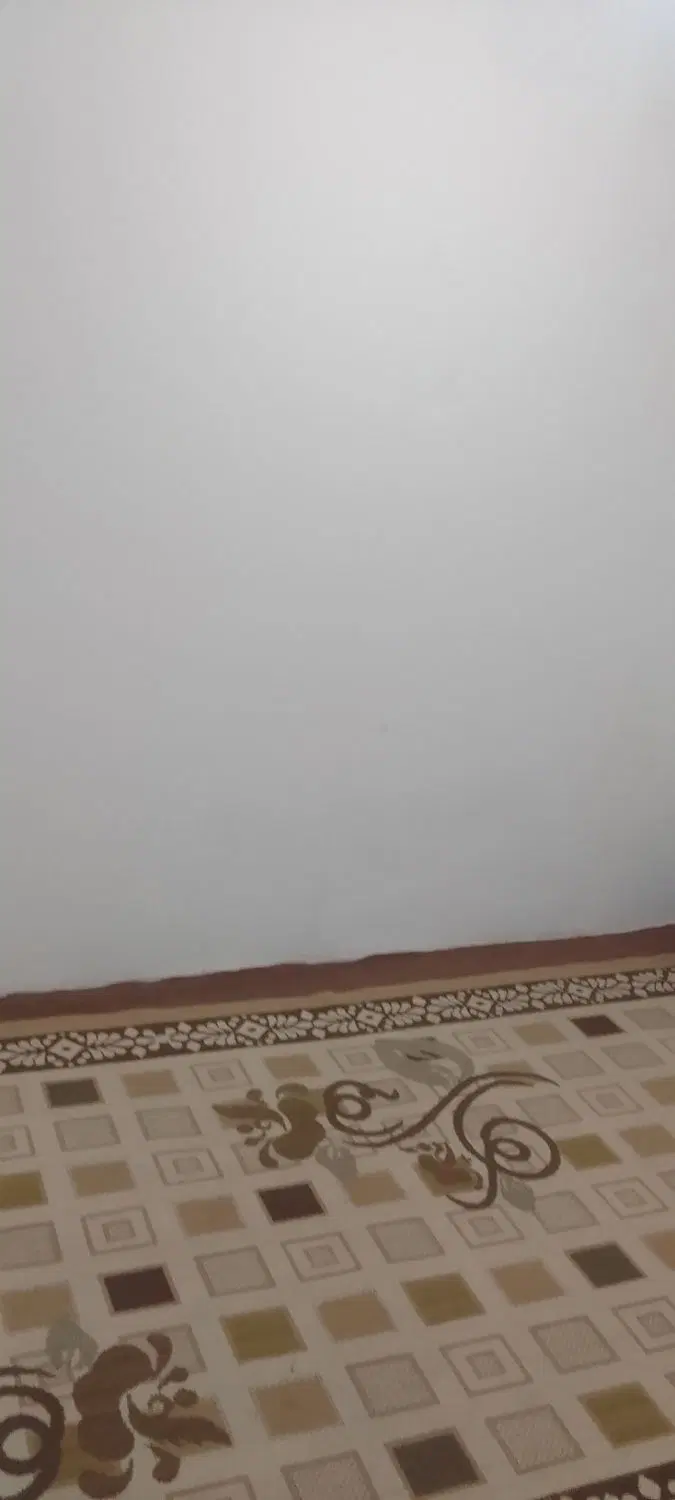 سوییت