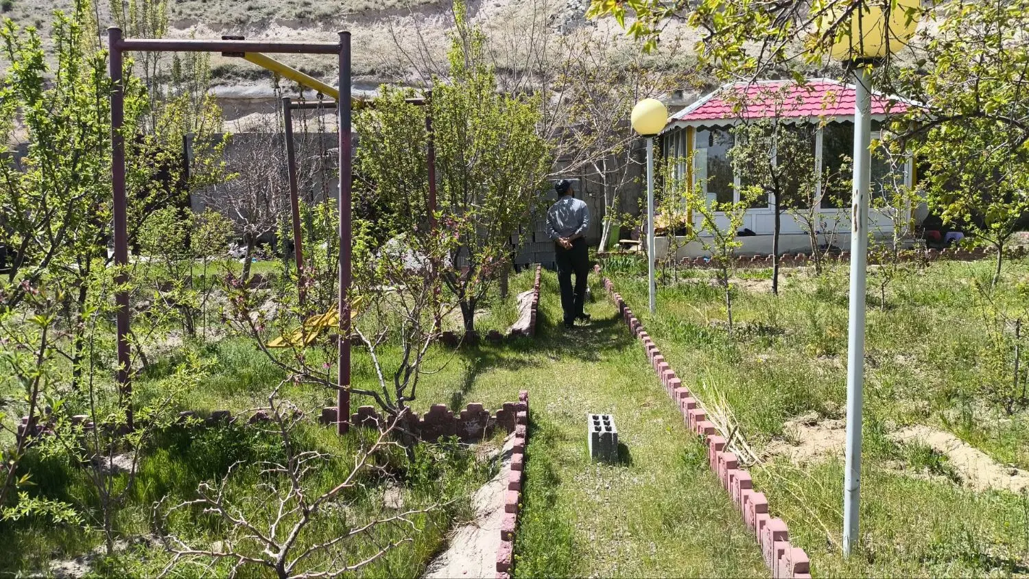 باغ در هروی