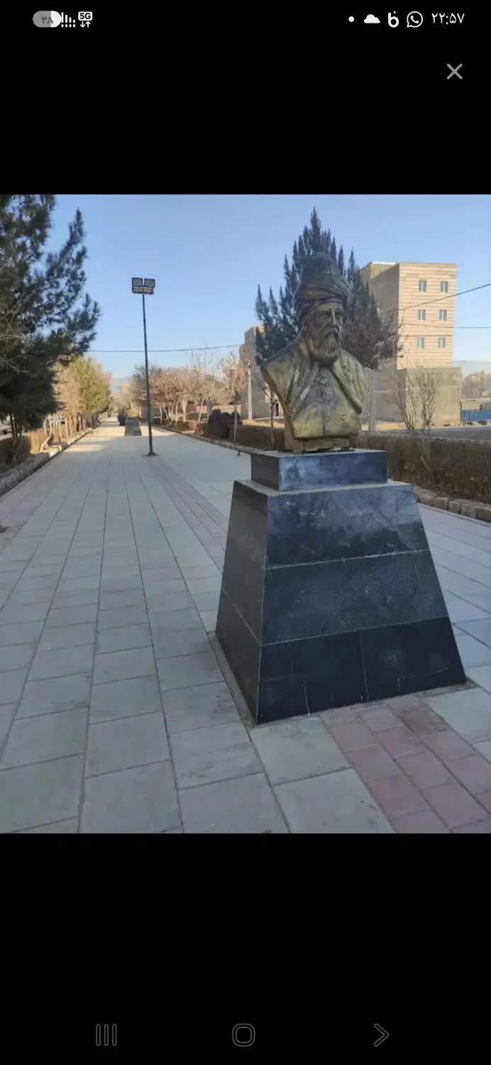 زمین گلها بالای پارک