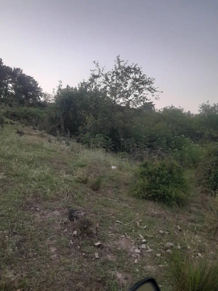 فروش زمین مسکونی