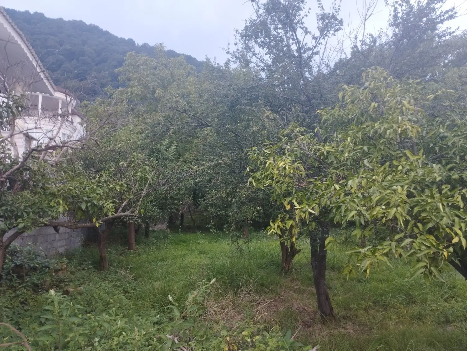 فروش زمین کبوترآبکش چابکسر