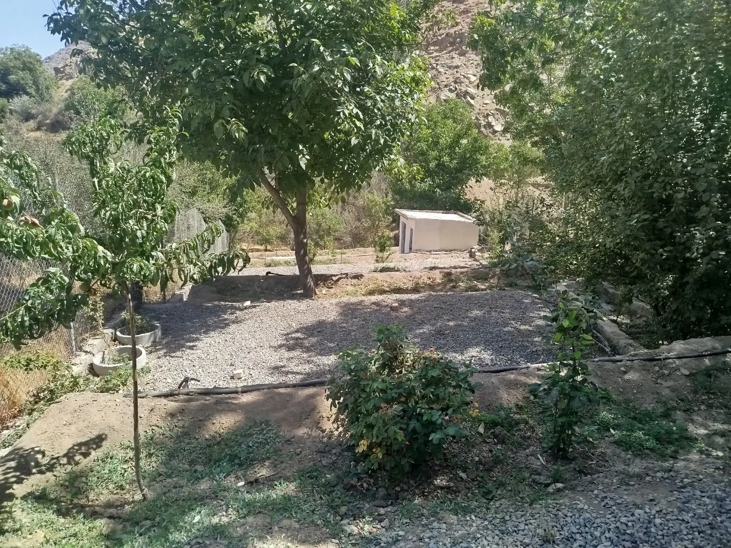 باغ ویژه در روستای قهرود