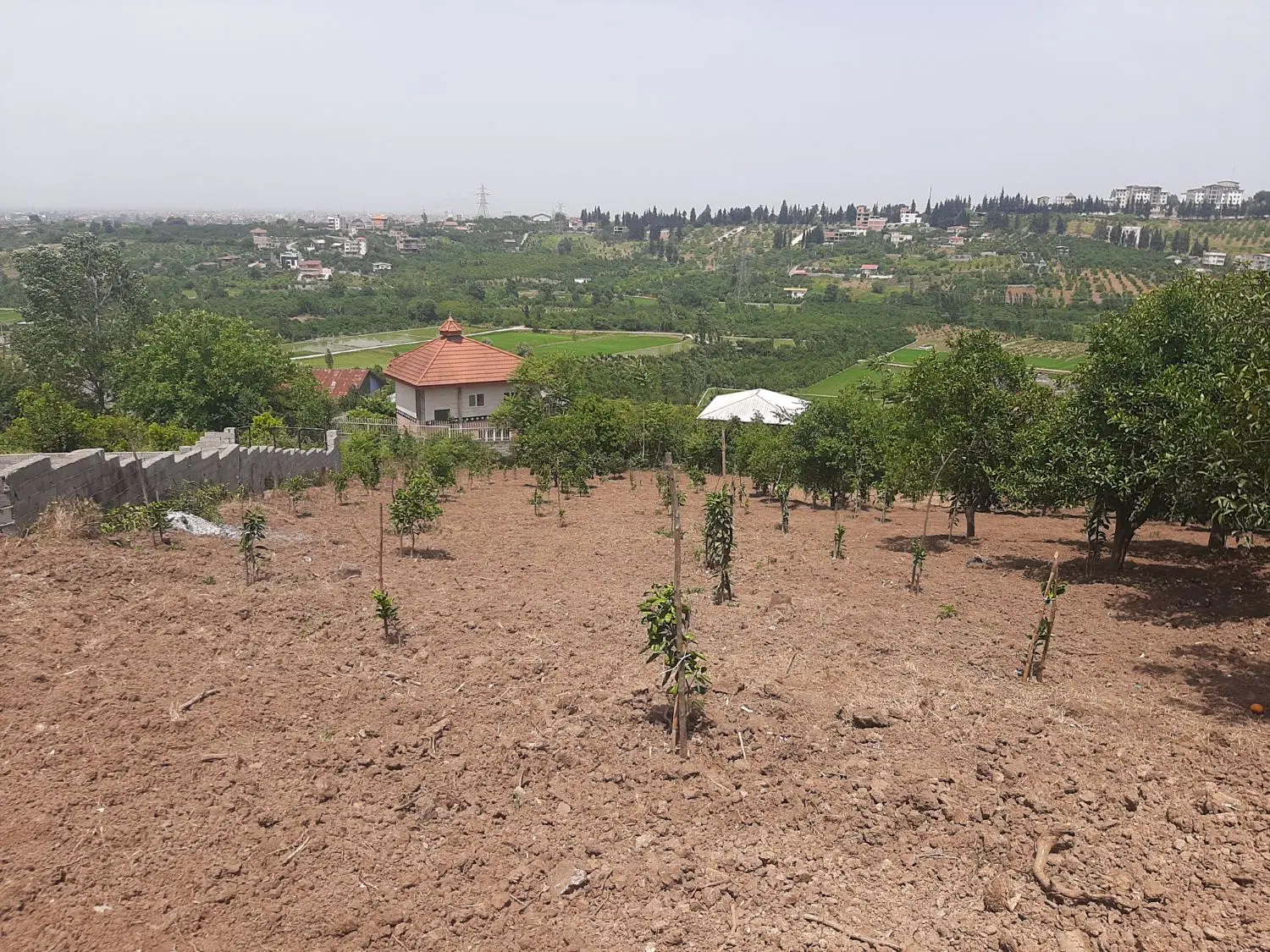 زمین