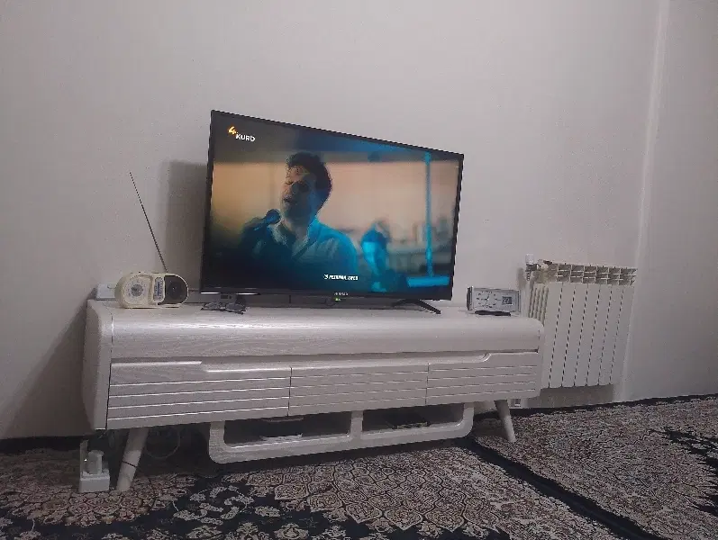 همخونه خانم