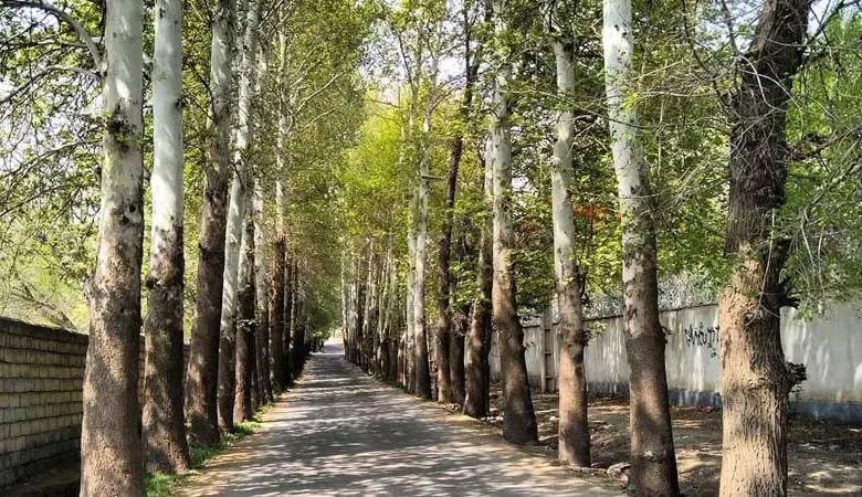 روستای توریستی شنده 130 متر
