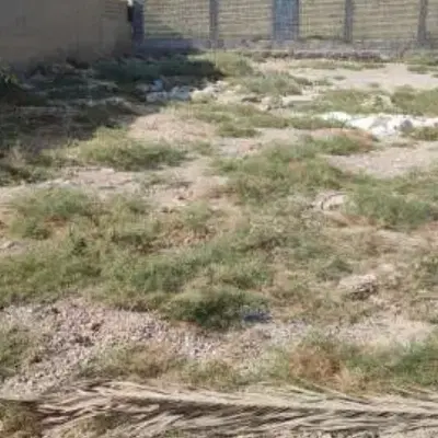۸۱مترزمین درکاوندی اخگرآباد موقعیت عالی