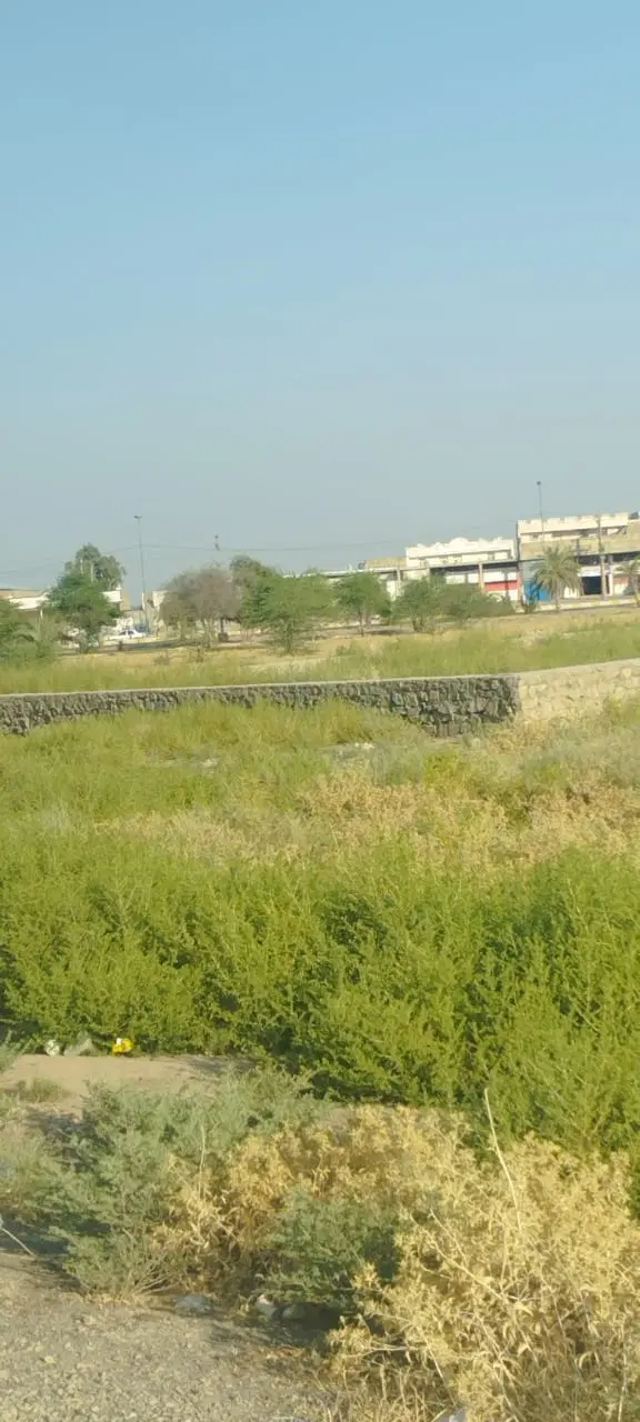تجاریزمین