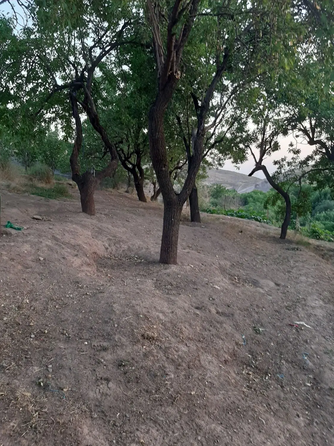 فروش زمین مسکونی