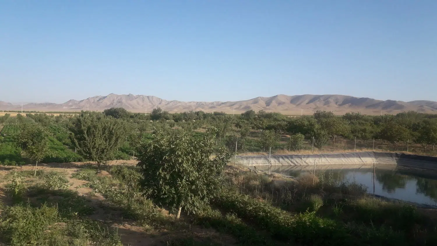 فروش مزرعه در چکسین بویین زهرا